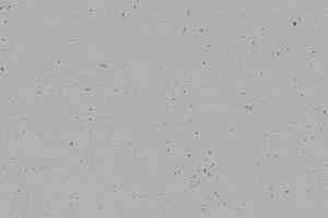 Линолеум Forbo Marmoleum Decibel on Order 358235 earl grey chocolate фото  | FLOORDEALER